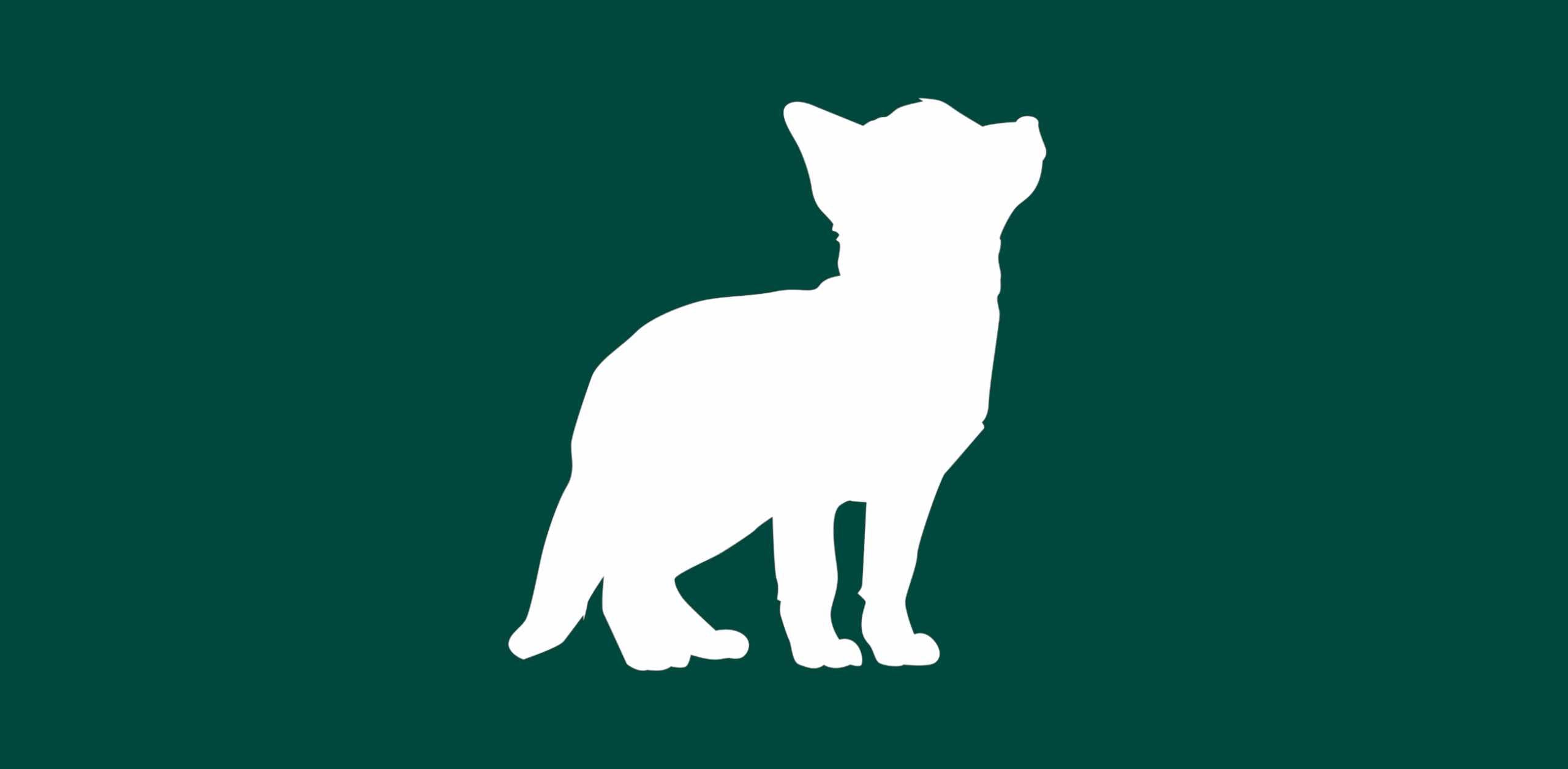 A minimalist logo of a cat's silhouette in green